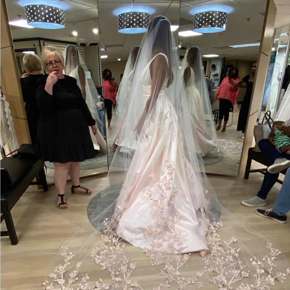 Blush ombré Lazaro gown and pink embroidered veil.